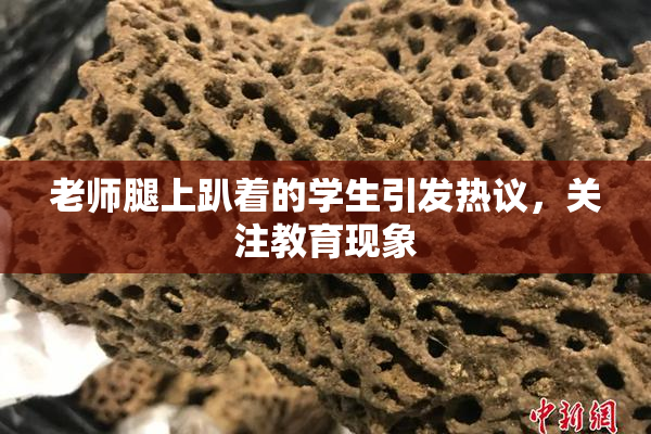 老师腿上趴着的学生引发热议，关注教育现象
