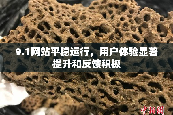 9.1网站平稳运行，用户体验显著提升和反馈积极