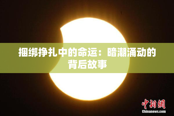 捆绑挣扎中的命运：暗潮涌动的背后故事