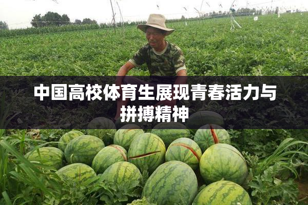 中国高校体育生展现青春活力与拼搏精神