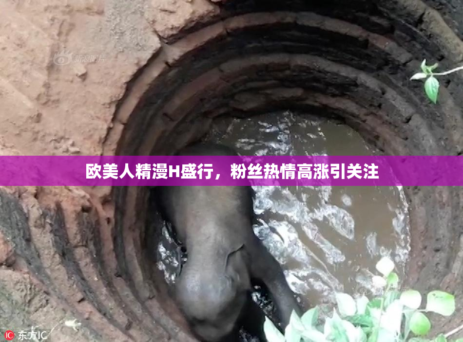 欧美人精漫H盛行，粉丝热情高涨引关注