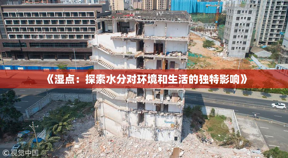 《湿点：探索水分对环境和生活的独特影响》