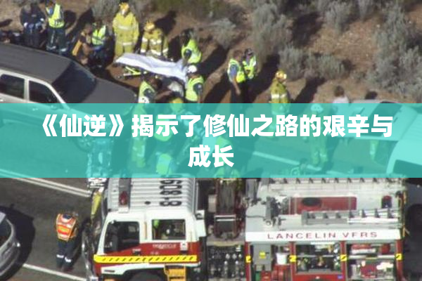 《仙逆》揭示了修仙之路的艰辛与成长