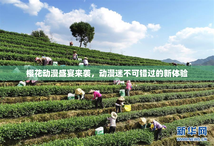 樱花动漫盛宴来袭，动漫迷不可错过的新体验