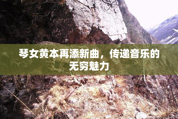 琴女黄本再添新曲，传递音乐的无穷魅力
