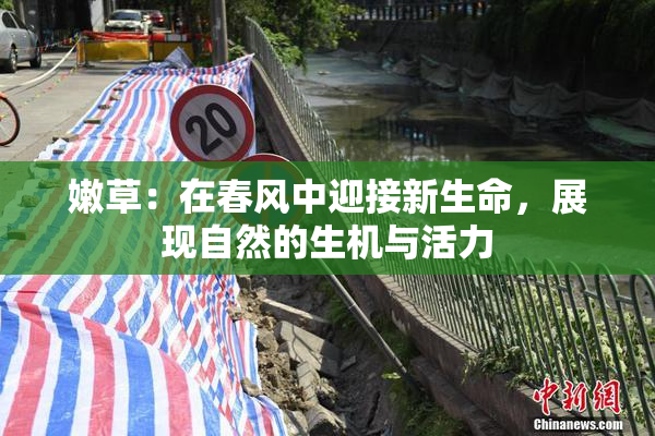嫩草：在春风中迎接新生命，展现自然的生机与活力