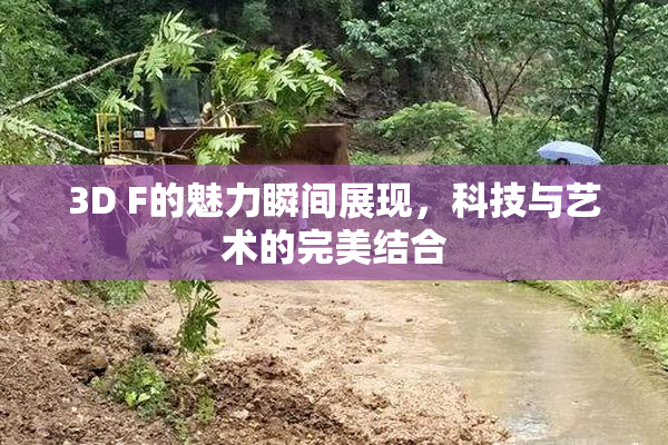 3D F的魅力瞬间展现，科技与艺术的完美结合