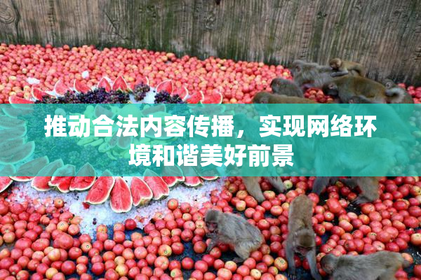 推动合法内容传播，实现网络环境和谐美好前景
