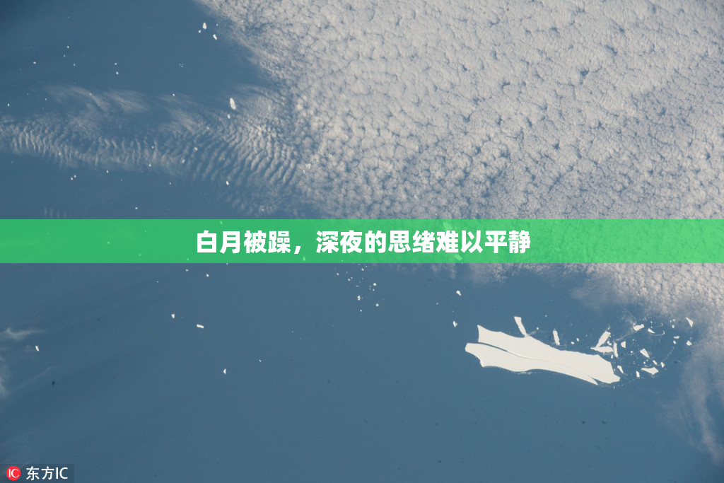 白月被躁，深夜的思绪难以平静