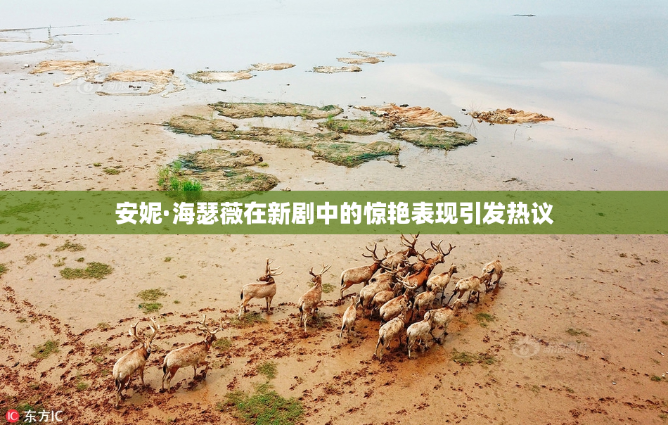 安妮·海瑟薇在新剧中的惊艳表现引发热议