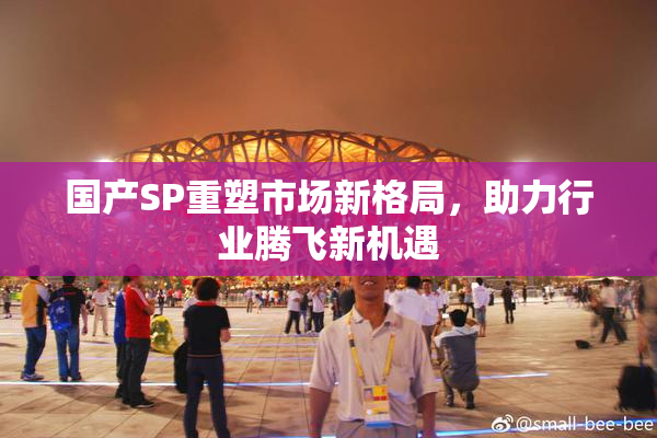国产SP重塑市场新格局，助力行业腾飞新机遇