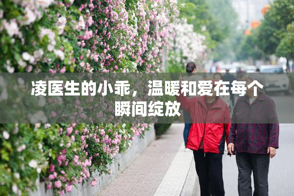 凌医生的小乖，温暖和爱在每个瞬间绽放