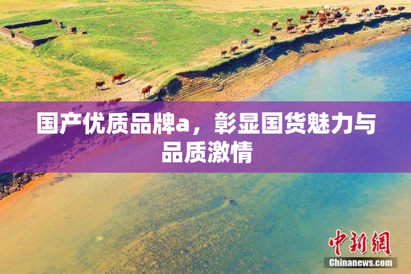国产优质品牌a，彰显国货魅力与品质激情