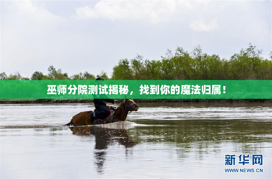 巫师分院测试揭秘，找到你的魔法归属！