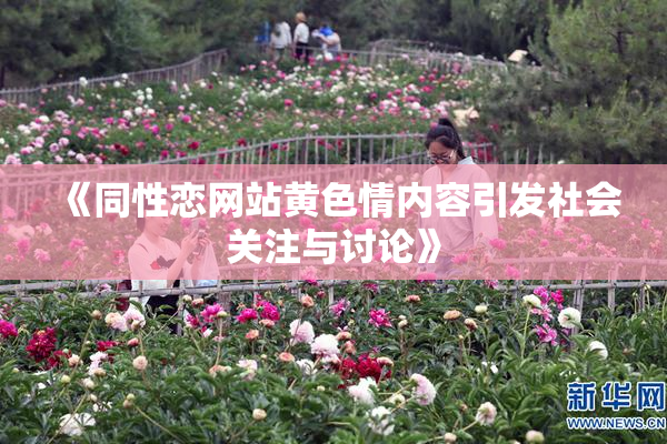 《同性恋网站黄色情内容引发社会关注与讨论》