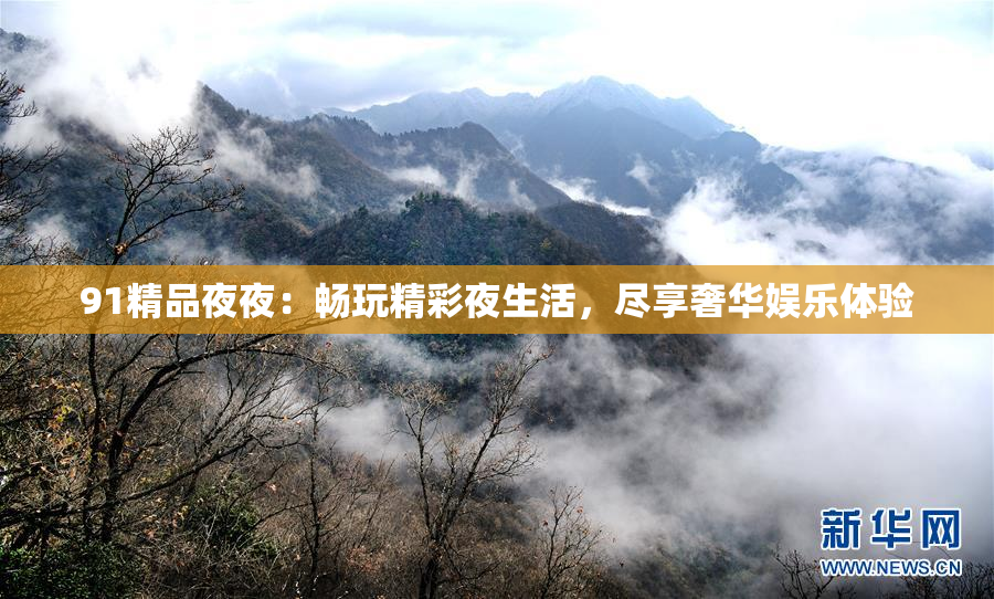 91精品夜夜：畅玩精彩夜生活，尽享奢华娱乐体验