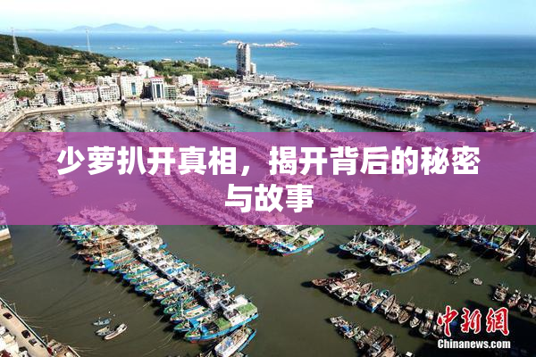 少萝扒开真相，揭开背后的秘密与故事