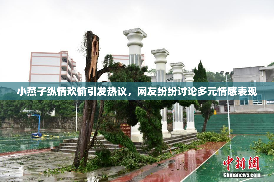 小燕子纵情欢愉引发热议，网友纷纷讨论多元情感表现