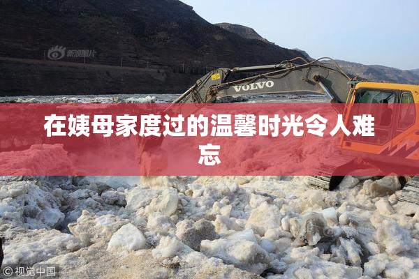 在姨母家度过的温馨时光令人难忘
