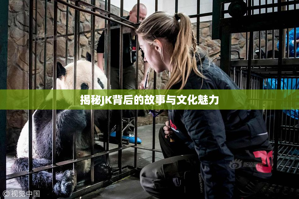 揭秘JK背后的故事与文化魅力