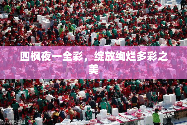 四枫夜一全彩，绽放绚烂多彩之美