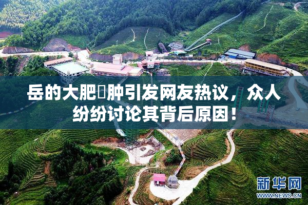 岳的大肥坹肿引发网友热议，众人纷纷讨论其背后原因！