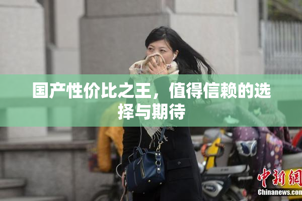 国产性价比之王，值得信赖的选择与期待
