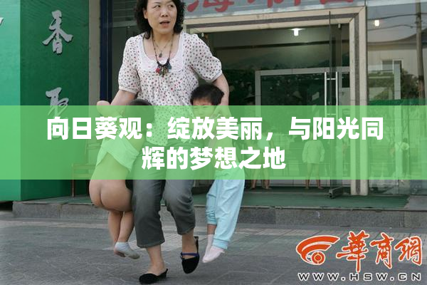 向日葵观：绽放美丽，与阳光同辉的梦想之地