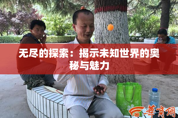 无尽的探索：揭示未知世界的奥秘与魅力