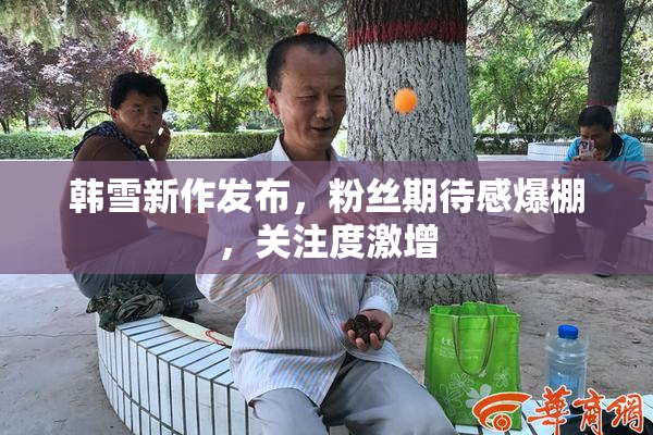 韩雪新作发布，粉丝期待感爆棚，关注度激增