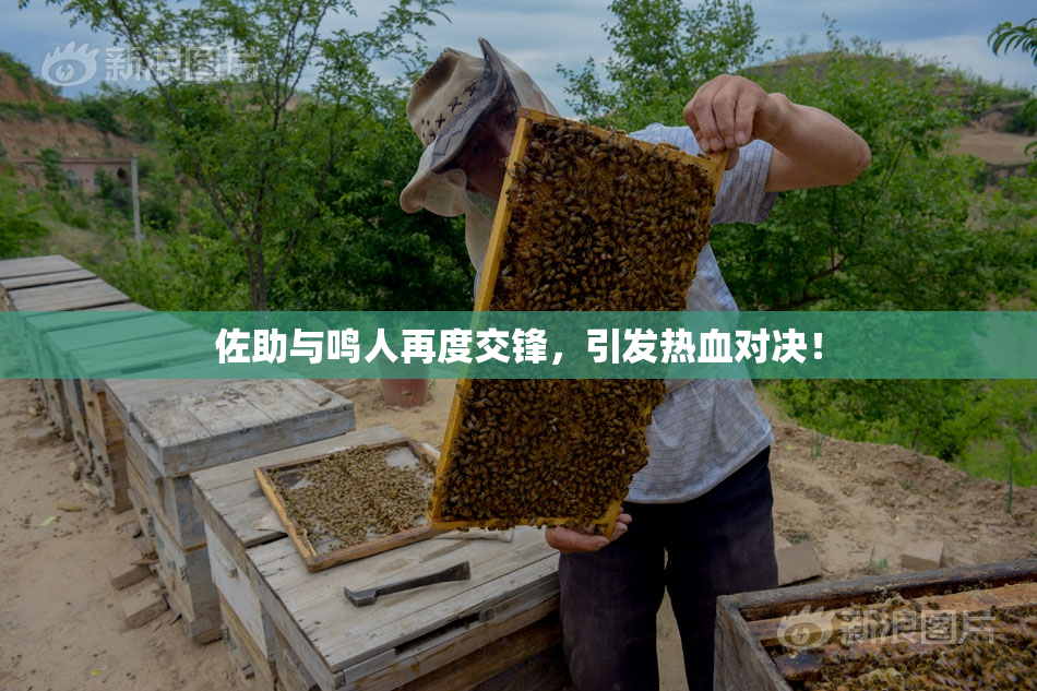 佐助与鸣人再度交锋，引发热血对决！
