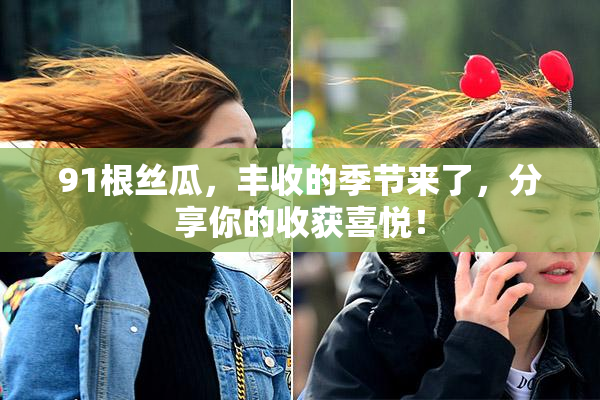 91根丝瓜，丰收的季节来了，分享你的收获喜悦！