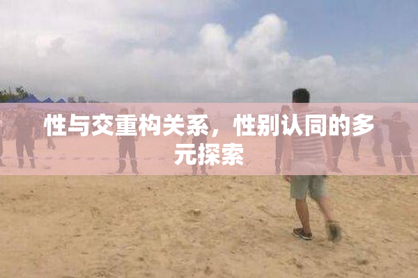 性与交重构关系，性别认同的多元探索