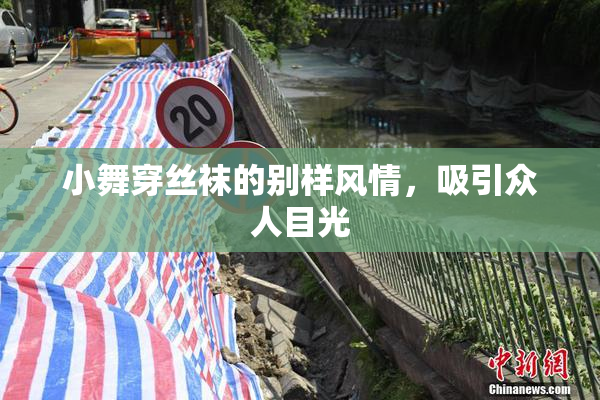 小舞穿丝袜的别样风情，吸引众人目光