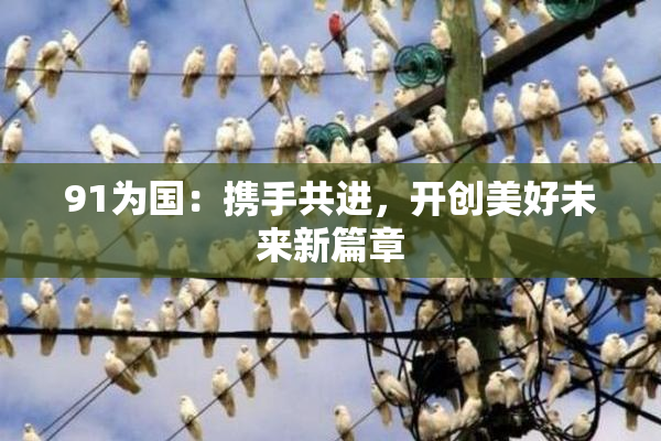 91为国：携手共进，开创美好未来新篇章