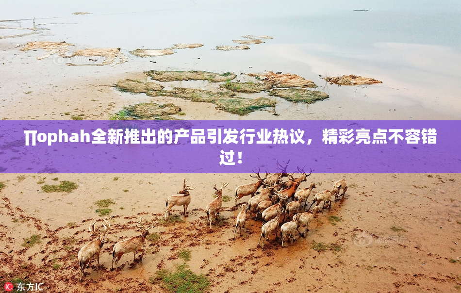 ∏ophah全新推出的产品引发行业热议，精彩亮点不容错过！