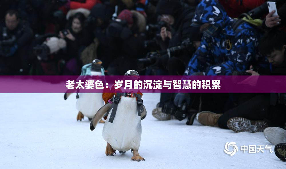 老太婆色：岁月的沉淀与智慧的积累