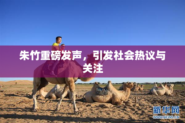 朱竹重磅发声，引发社会热议与关注