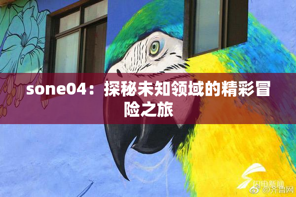 sone04：探秘未知领域的精彩冒险之旅