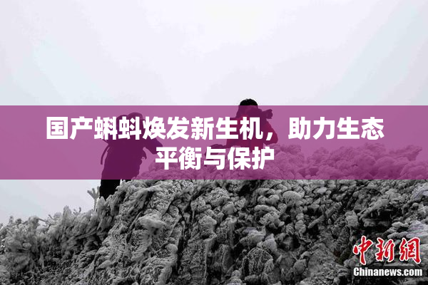 国产蝌蚪焕发新生机，助力生态平衡与保护