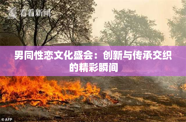 男同性恋文化盛会：创新与传承交织的精彩瞬间