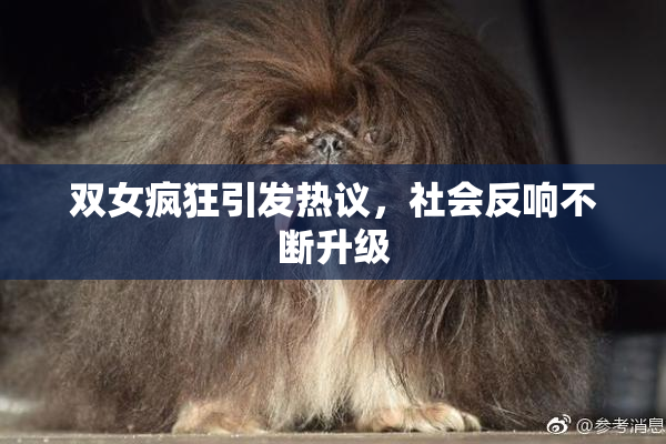 双女疯狂引发热议，社会反响不断升级