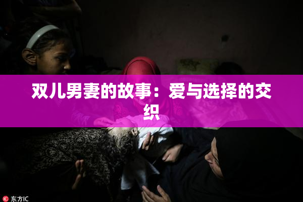 双儿男妻的故事：爱与选择的交织