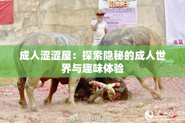 成人涩涩屋：探索隐秘的成人世界与趣味体验