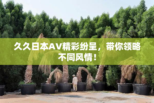 久久日本AV精彩纷呈，带你领略不同风情！