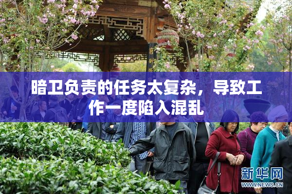 暗卫负责的任务太复杂，导致工作一度陷入混乱