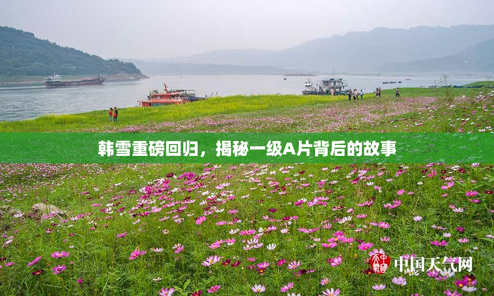 韩雪重磅回归，揭秘一级A片背后的故事