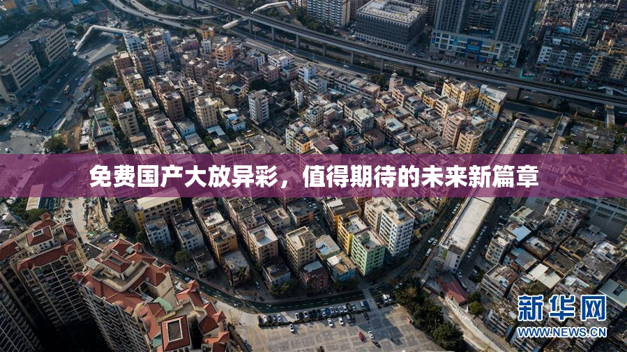免费国产大放异彩，值得期待的未来新篇章