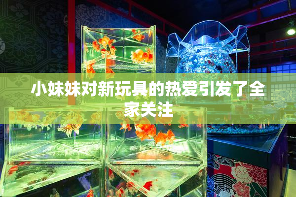 小妹妹对新玩具的热爱引发了全家关注