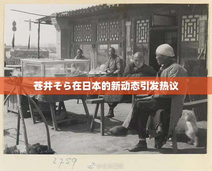 苍井そら在日本的新动态引发热议
